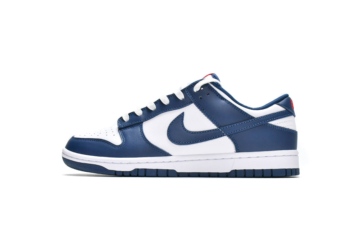 Nike Dunk Low Valerian Blue Reps Sneaker DD1391-400